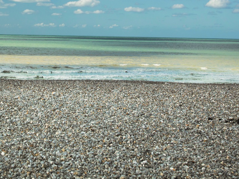 Côte d'Albâtre (800 x 600)