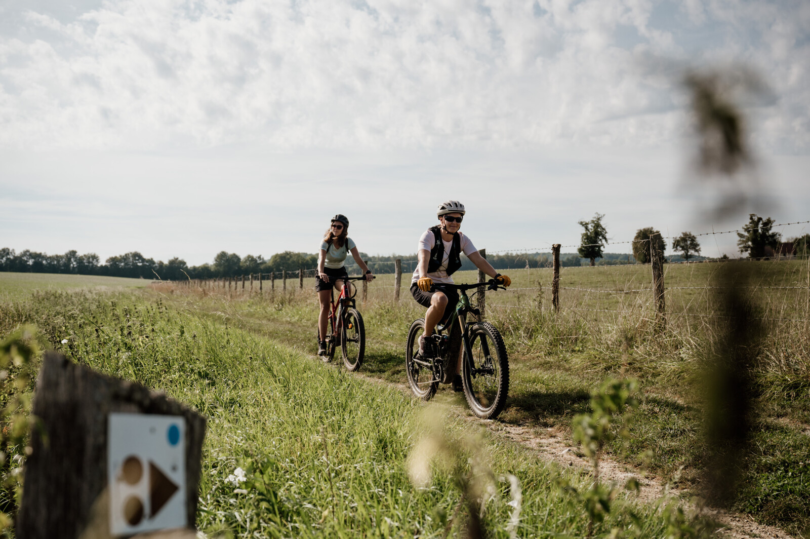 LE PIN  : le Plateau de Moyaux - 15 km D 38 m