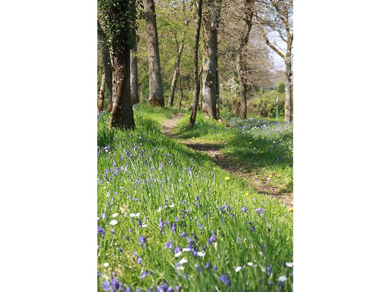 © CD 61 Le Vaudobin et les gorges du Meillon