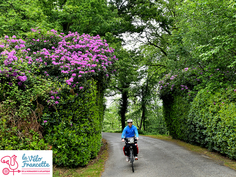 La Vélo Francette © J. Damase Velo_Francette_pontdouilly_cerisy_flers