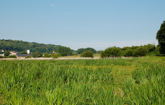 Domaine du Colmoulins