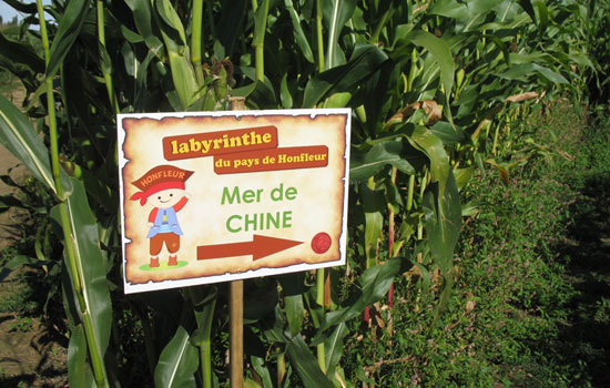 Vignette - Labyrinthe de Honfleur