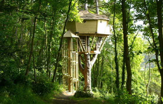 Sherwood Tree