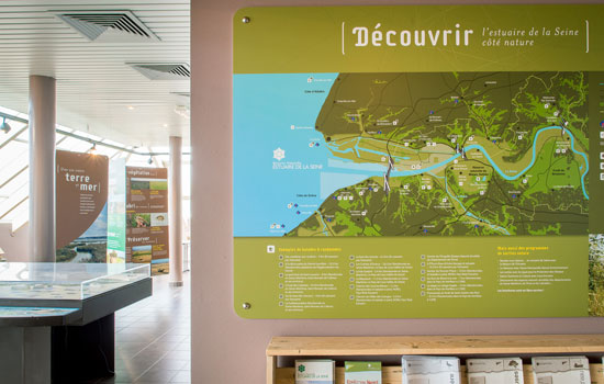 Maison de la réserve de l'Estuaire - Salle Avocette