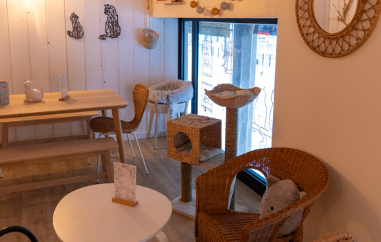 Vignette-Salon des P'tea Chats