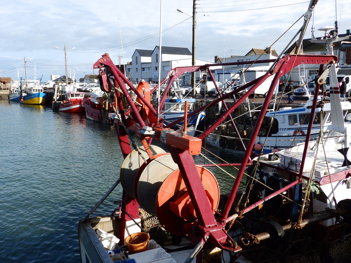   Visite-du-port-GM--Copier- 