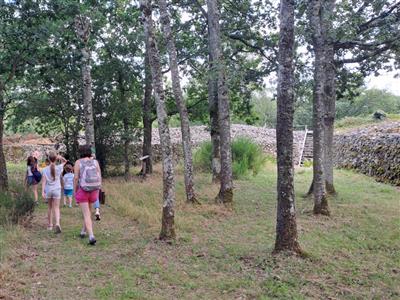 VISITE GUIDÉE : Le Camp celtique de Bierre Du 16 mars au 28 sept 2025