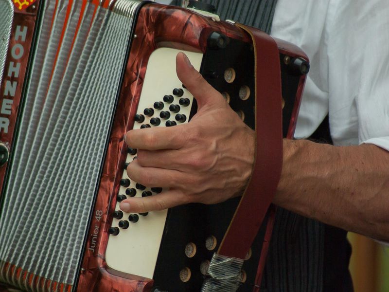 accordeon-14 carré du perche accordeon-14