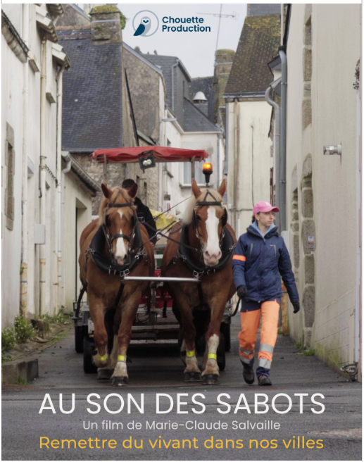   affiche3 