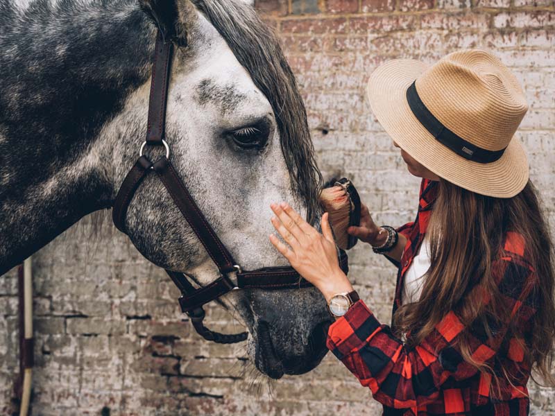 ©MaxCoquard-Bestjobers Agent d'un jour au Haras national du Pin