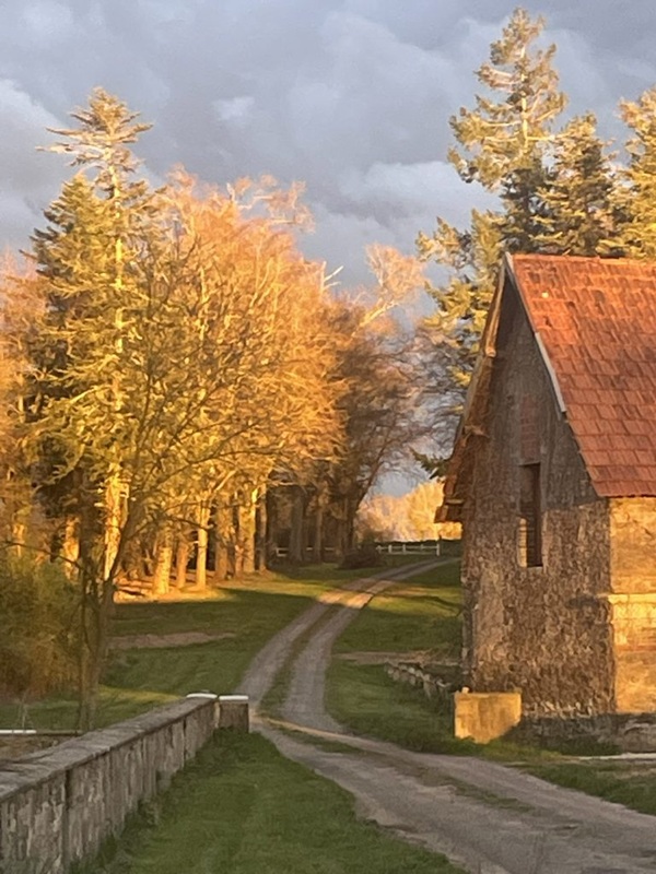 Maison d’hôtes Chambres d'hôtes > Le Château de Saint Clair à Saint-Clair-sur-l'Elle