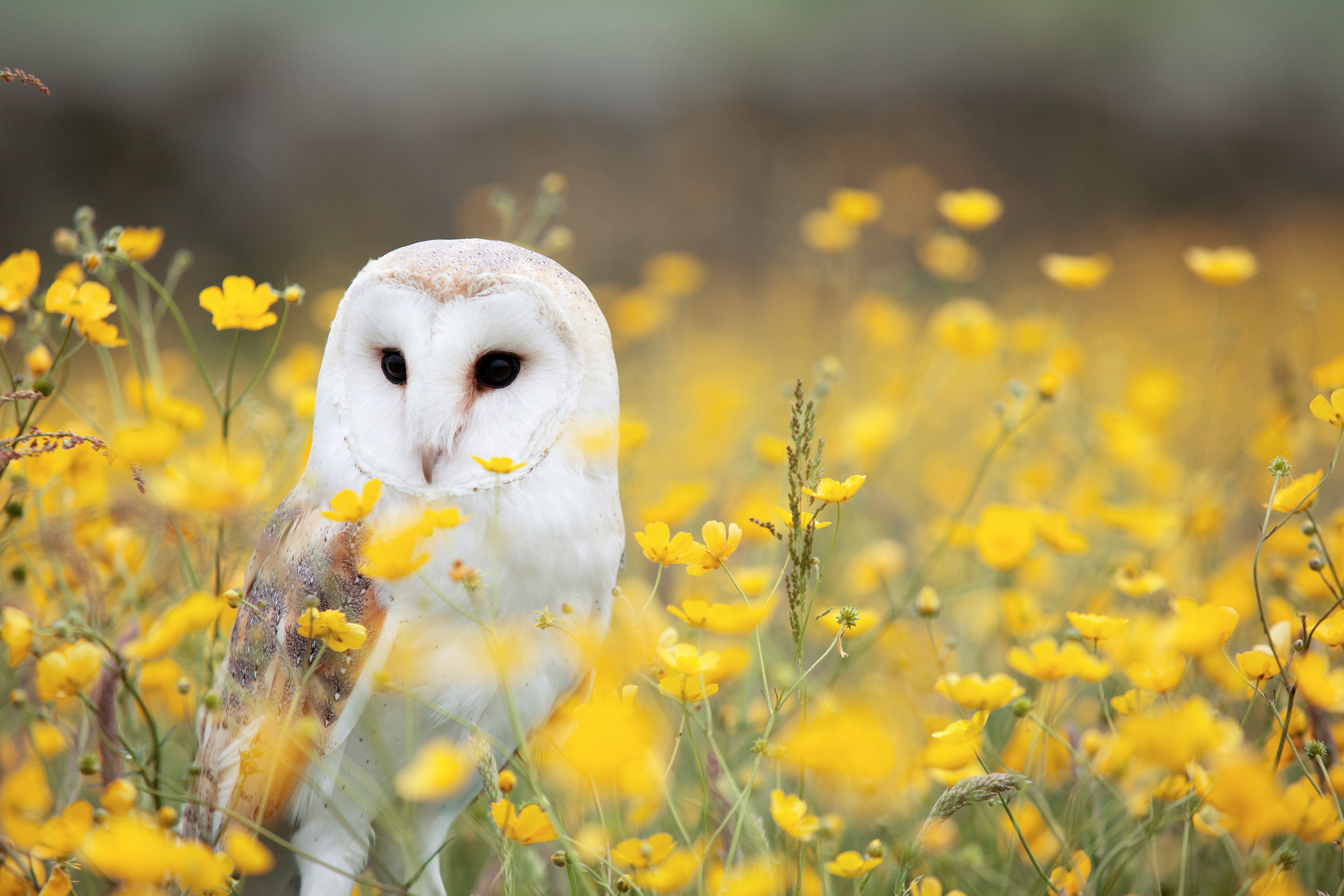 andy-chilton-zICEeDwWH0o-unsplash