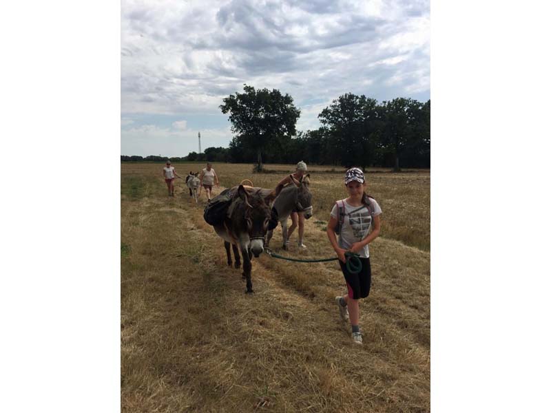 ©F. Berthier Les ânes du Haut Perche - Marchainville