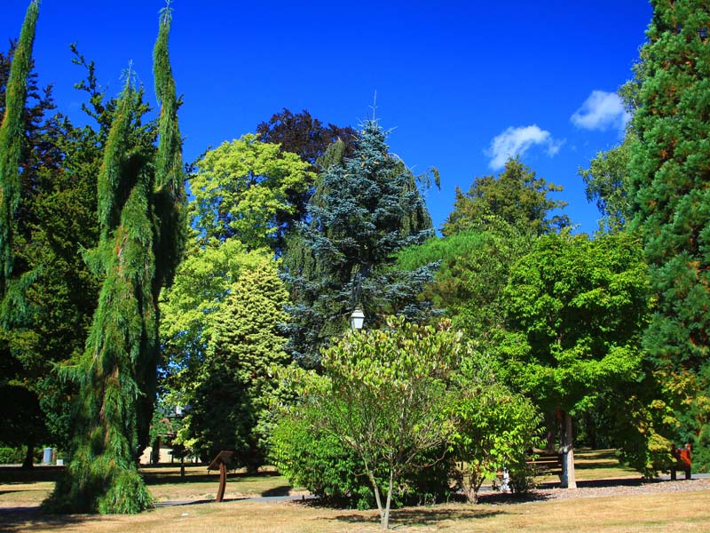 Arboretum - Bagnoles de l'Orne ©JE Rubio Arboretum - Bagnoles de l'Orne
