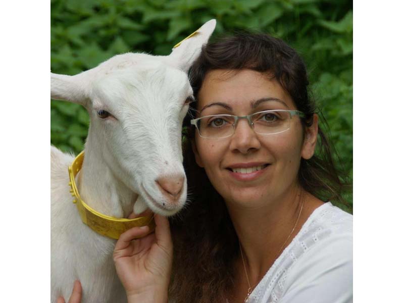 ©Ferme de l'Aritoire Ferme de l'Aritoire - La Madeleine Bouvet
