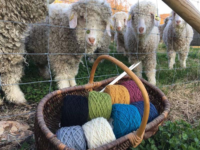 ©Ferme de l'Aritoire Ferme de l'Aritoire - La Madeleine Bouvet