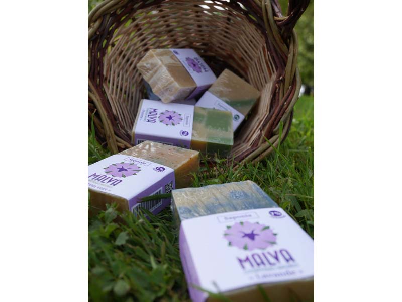 ©Ferme de l'Aritoire Ferme de l'Aritoire - La Madeleine Bouvet