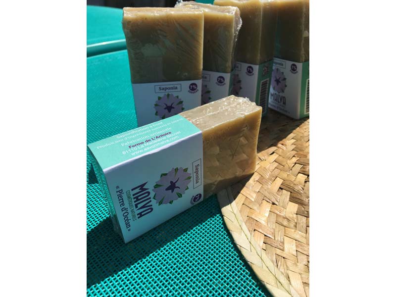 ©Ferme de l'Aritoire Ferme de l'Aritoire - La Madeleine Bouvet