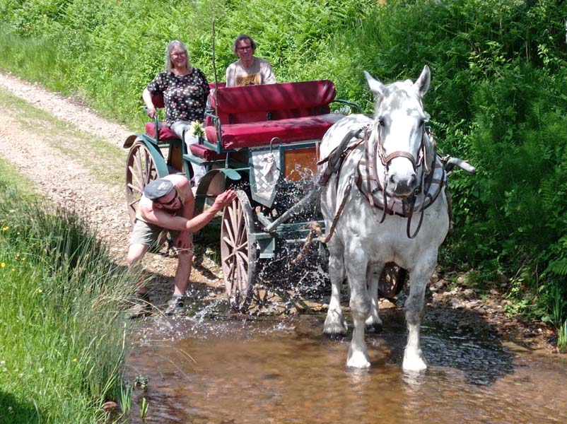 ©Bérengère Morel Promenade en attelage - Moutiers au Perche