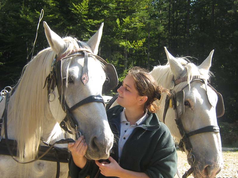 ©Orne Tourisme Attelage nature dans le Perche - Corbon