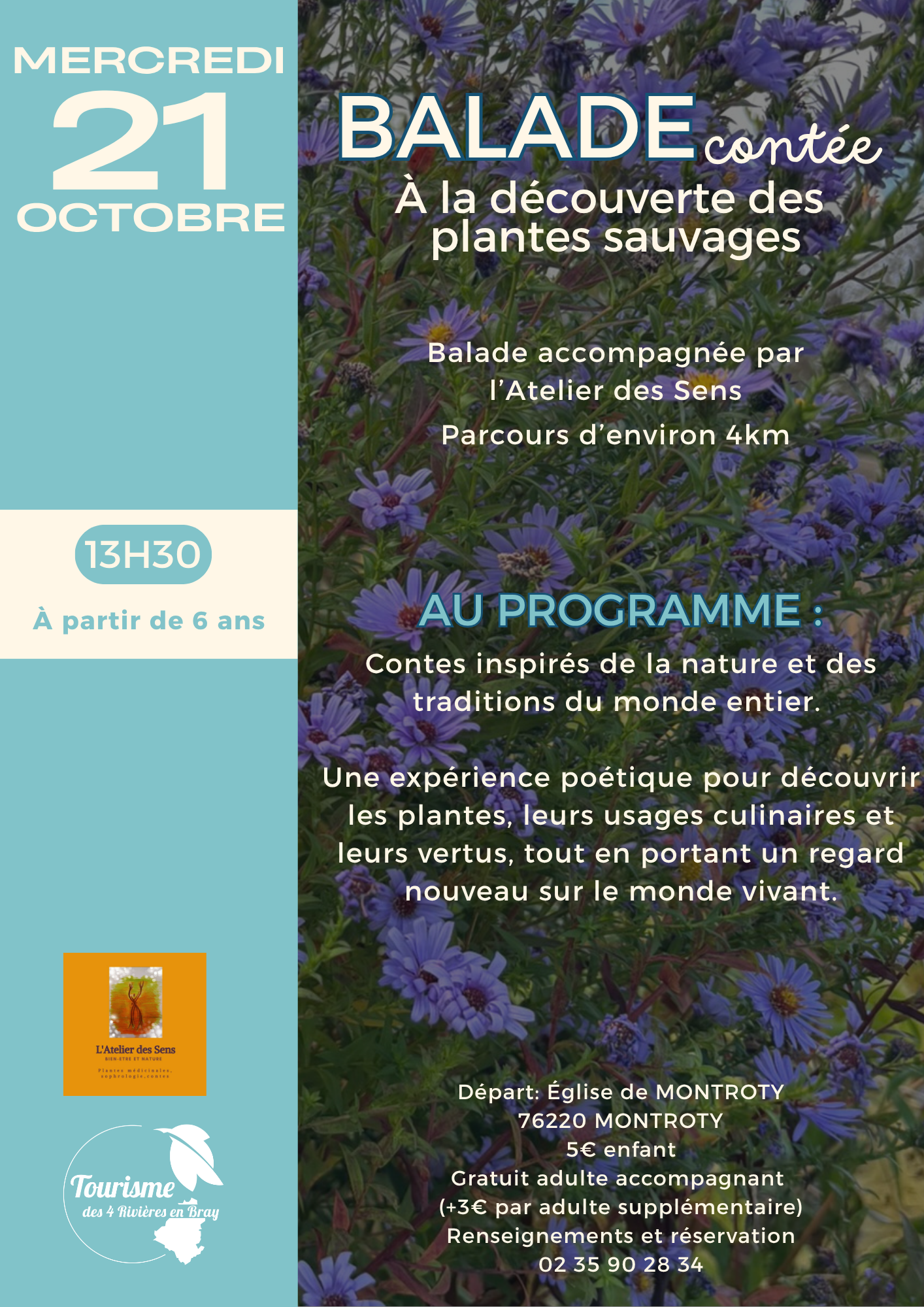 Balade contée à la découverte des plantes sauvages
