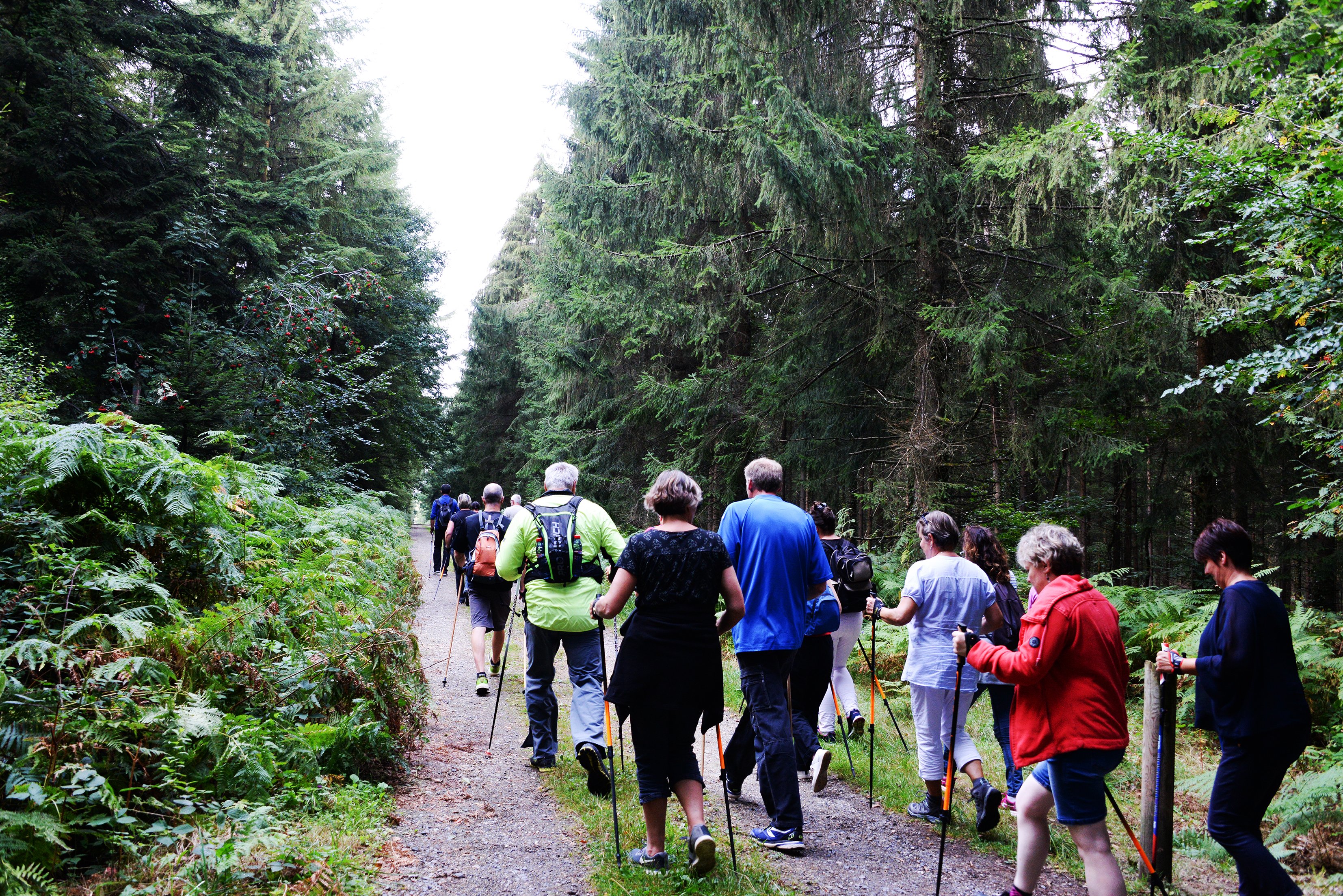 bagnoles-orne-incentive-groupe-seminaire-marche-nordique-foret BeBagnoles bagnoles-orne-incentive-groupe-seminaire-marche-nordique-foret