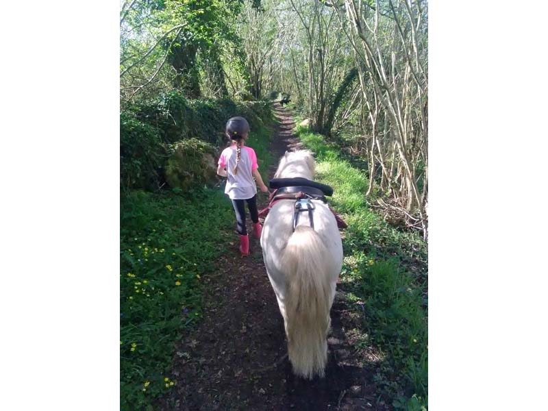 ©Bagot's Ranch Bagot's Ranch - Bréel