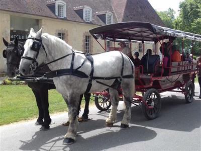 ©Anthony Gohier Balade gourmande au Haras du Pin
