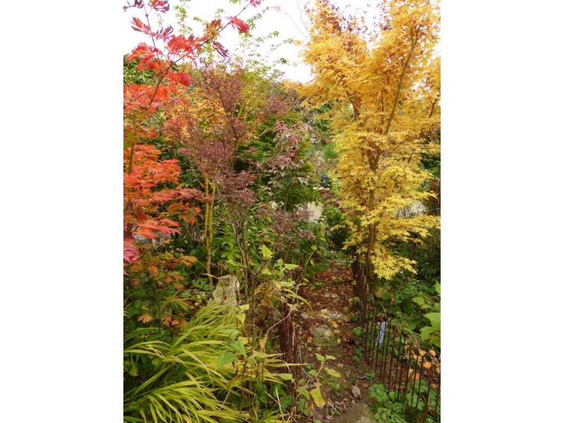 ©MC Poirier Jardin Bleuenn - La Ferté Macé