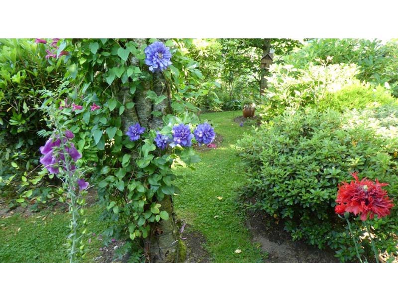 ©MC Poirier Jardin Bleuenn - La Ferté Macé