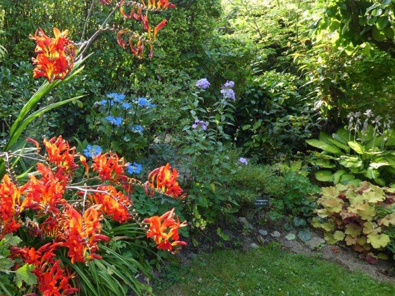 ©MC Poirier Jardin Bleuenn - La Ferté Macé