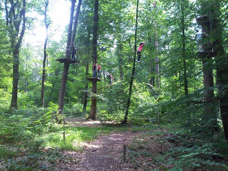 ©Orne Tourisme Le Bois Parcours Nature - Bagnoles de l'Orne