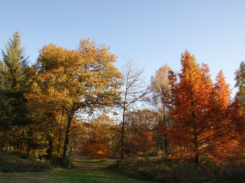 Arboretum de Boiscorde