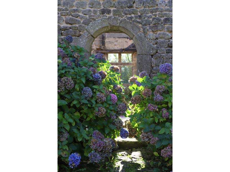 ©J.E. Rubio-CD61 Manoir de la Boisnerie - Ste Honorine la Chardonne