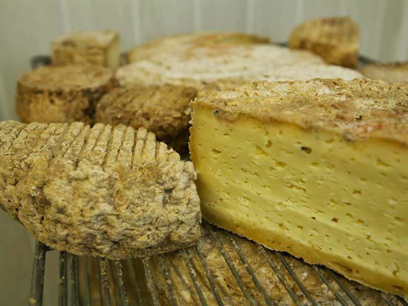 ©Brebis d'Ecouves Brebis d'Ecouves - St Nicolas des Bois