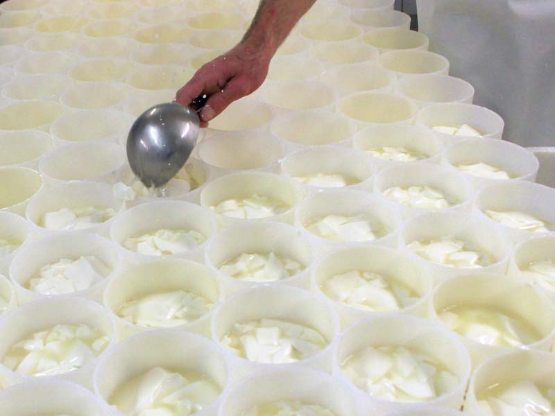 ©J.E. Rubio Fromagerie Durand - Camembert