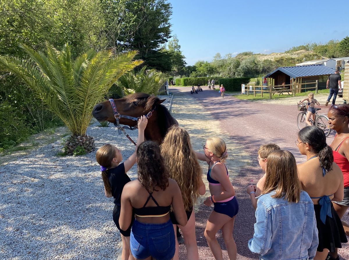 Camping les Carolins