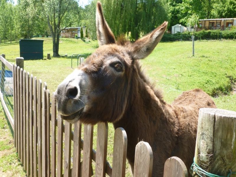 © Monaco Parc camping-monaco-parc-longny-au-perche