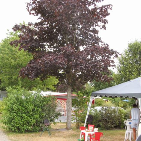 Camping Le Val d'Orne Camping Le Val d'Orne - Putanges