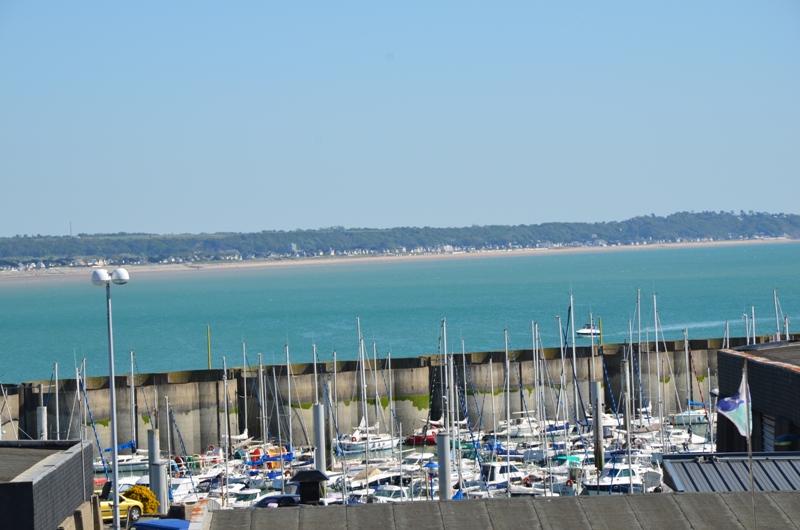 Les Cormorans