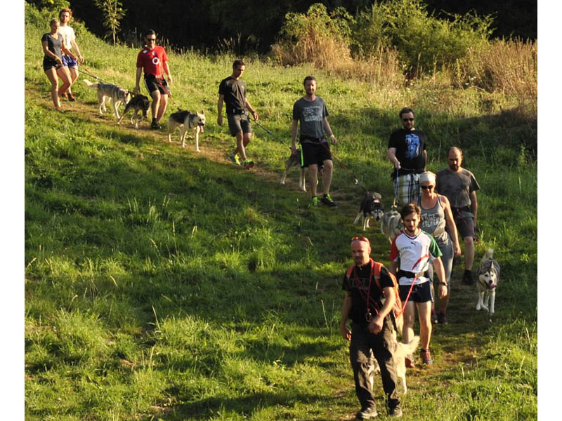 ©Sleddogirde Cani Rando Récréative