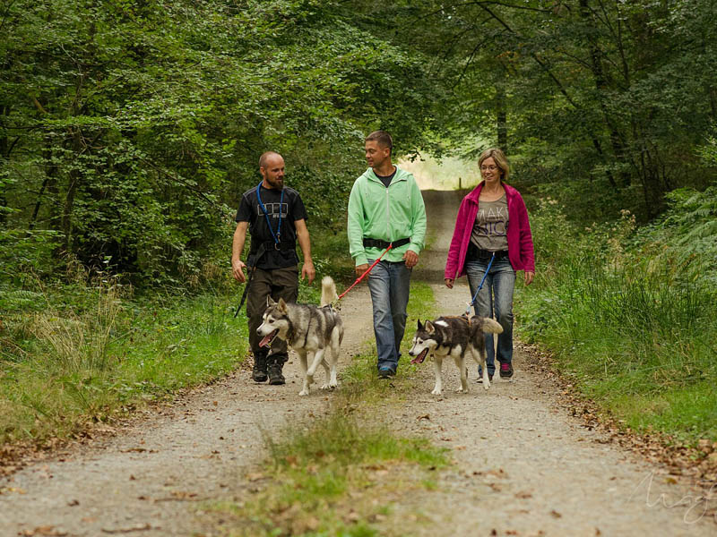 ©Sleddogirde Cani Rando Récréative