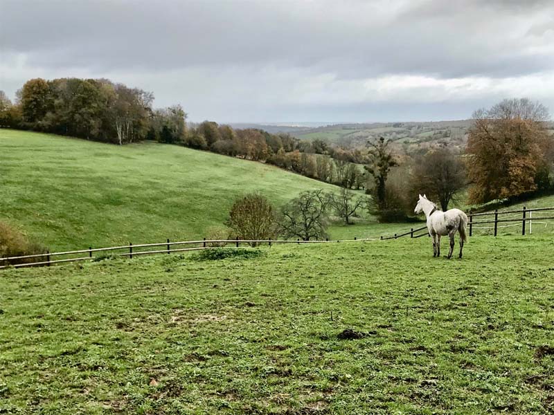 ©J. Prévost Ecurie des Champeaux - Les Champeaux