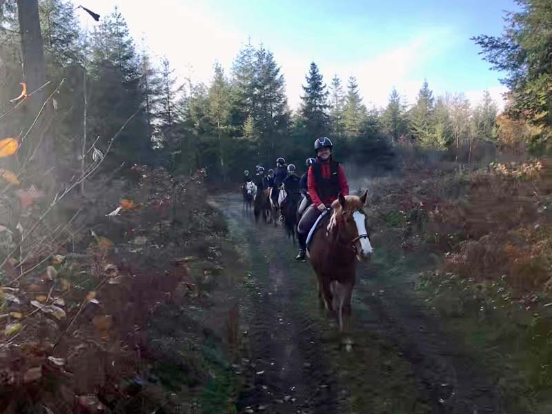 ©J. Prévost Ecurie des Champeaux - Les Champeaux