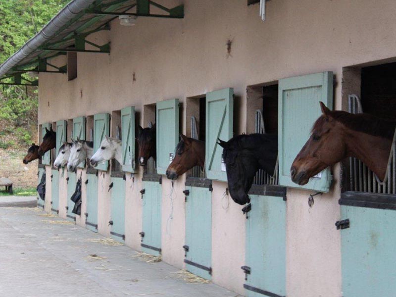 © Centre équestre Perche Réno Centre équestre Perche Réno