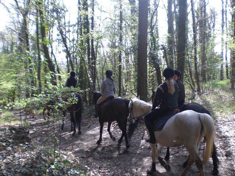 © Centre équestre Perche Réno Centre équestre Perche Réno