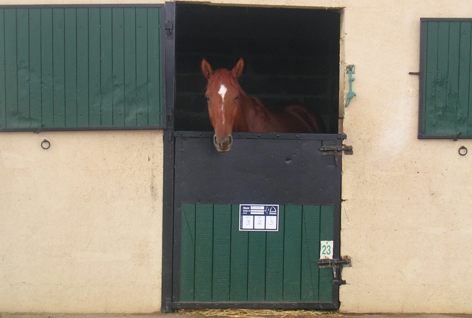 ©CE Sagien Centre équestre de Sées