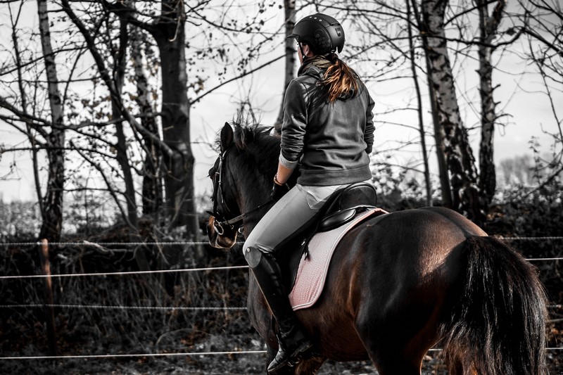 Centre Equestre du Val de Sienne
