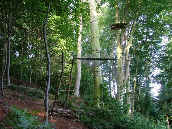 cerences-la-foret-des-elfes®-3
