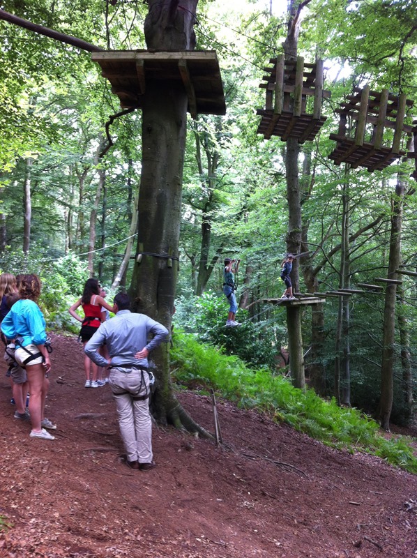 cerences-la-foret-des-elfes®-6